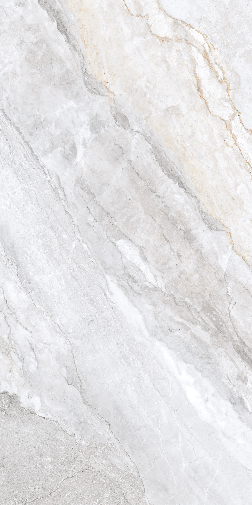 CL4006-A Trivola Bianco Carving Lappato 60x120 Arcadia Ceramica