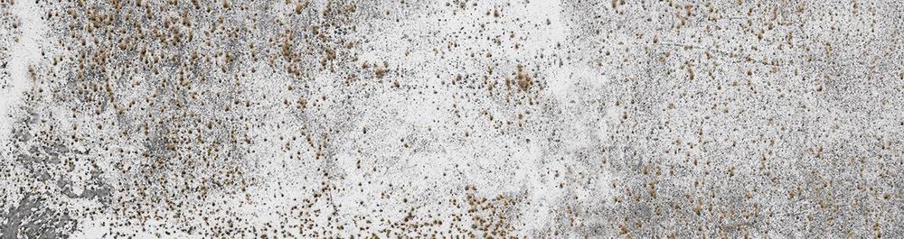 Veria серый 245x65 Beryoza Ceramica фото 4
