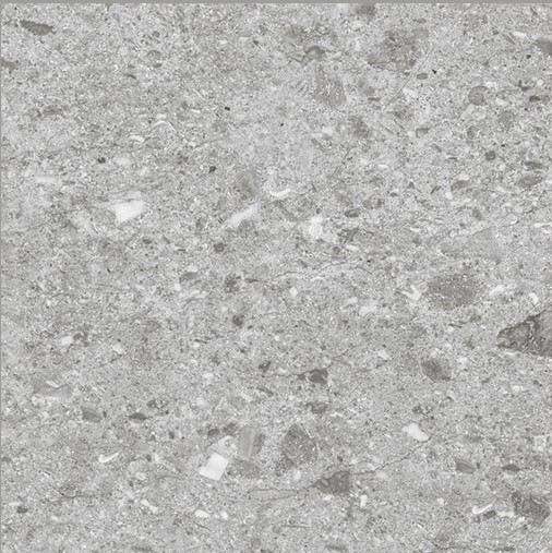 Canyon Silver 60x60 Staro