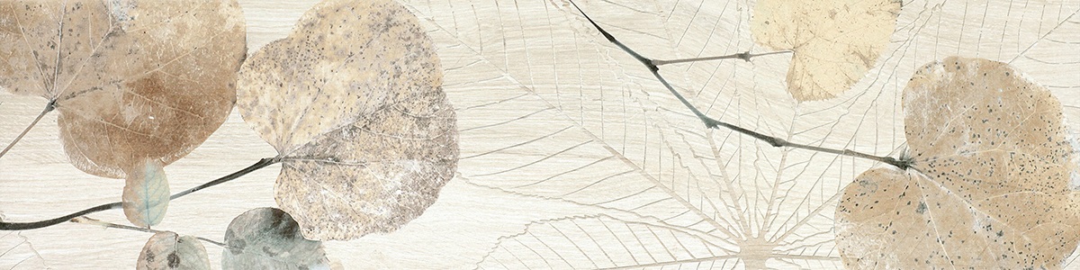 FI 10 Foliage Bianco 20х80 Del Conca