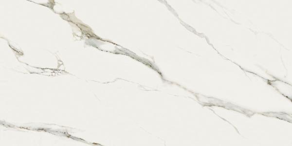 PF60010364 Calacatta Michelangelo Lux 60x120 ABK