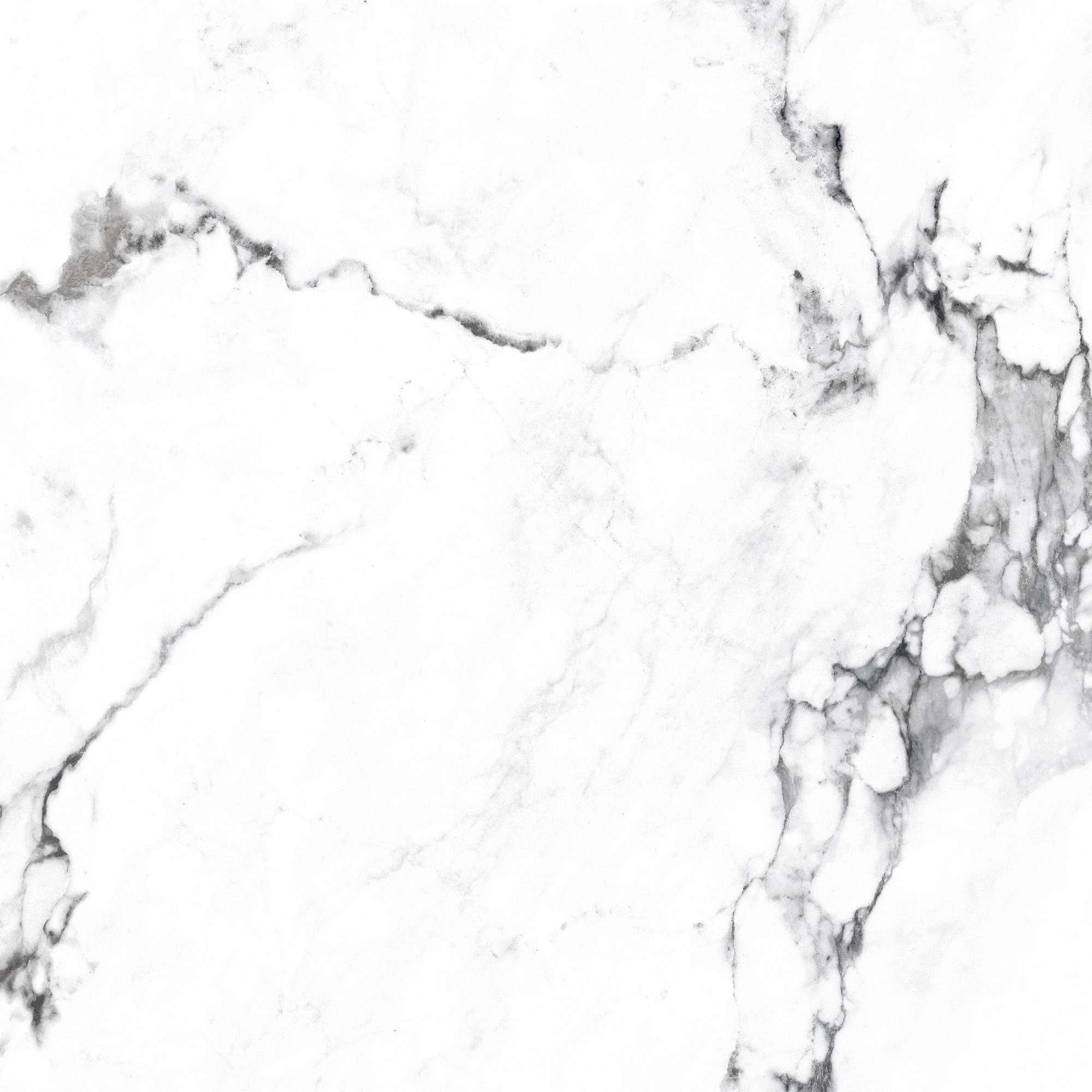 CR4006-A Borghini Silver Carving 60x60 Arcadia Ceramica