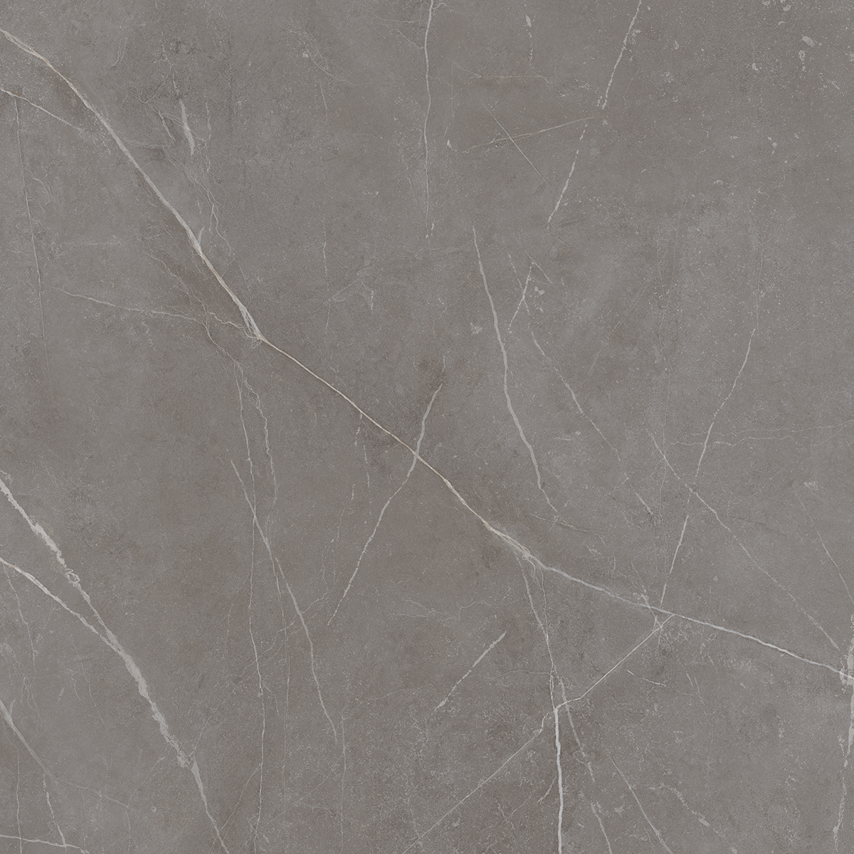 NL03 Nolana Dark Grey Неполированный Рект. 60x60x9  Estima фото 11