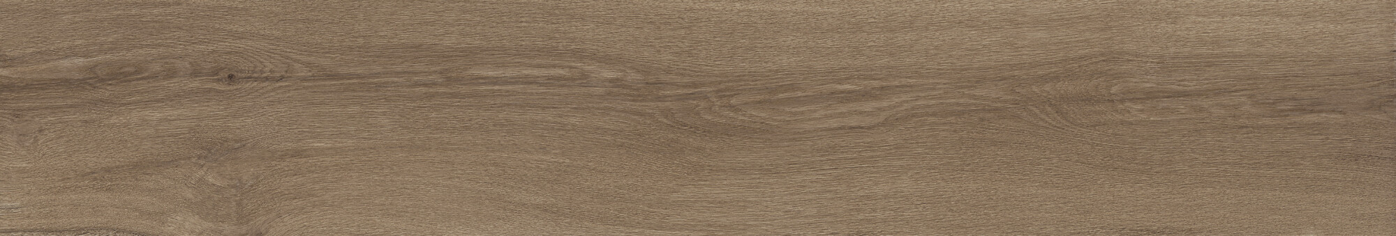 41729 Bloom Cognac SP/24x151x0,9/R 24x151 Peronda