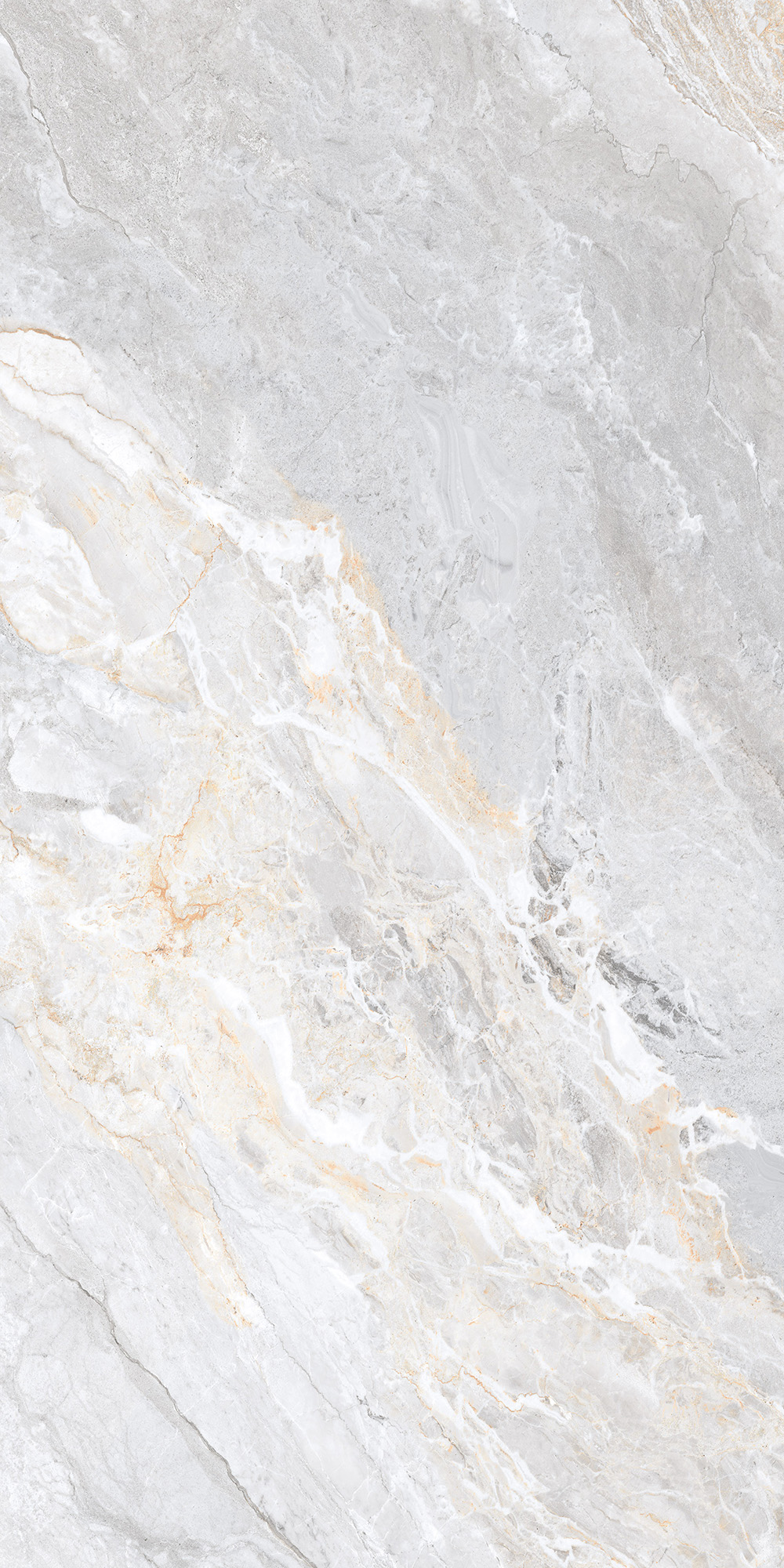 CL4006-A Trivola Bianco Carving Lappato 60x120 Arcadia Ceramica