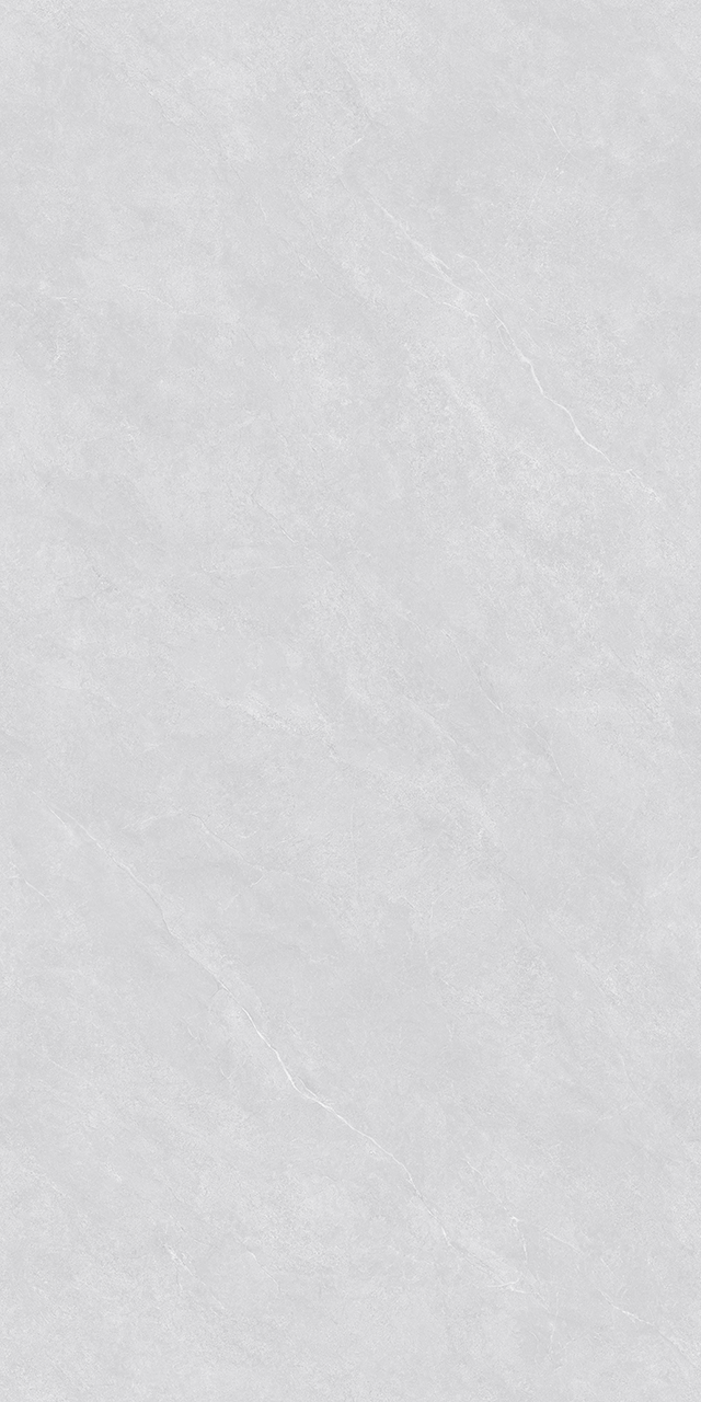 ZA-D12602 Glazed PR 1200x600x9 Vizavi