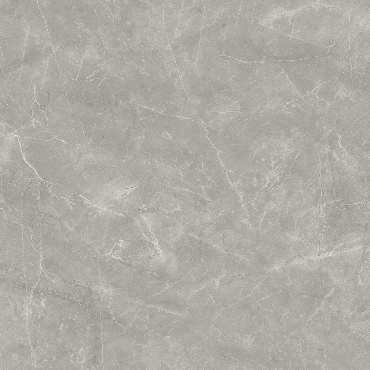 Wolf Grey 80х80 Laparet