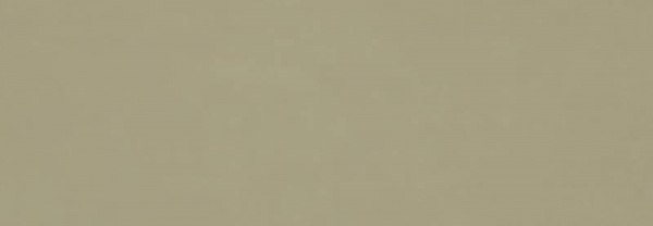 RA6E Vida Verde Rett 30x90 Ragno Marazzi
