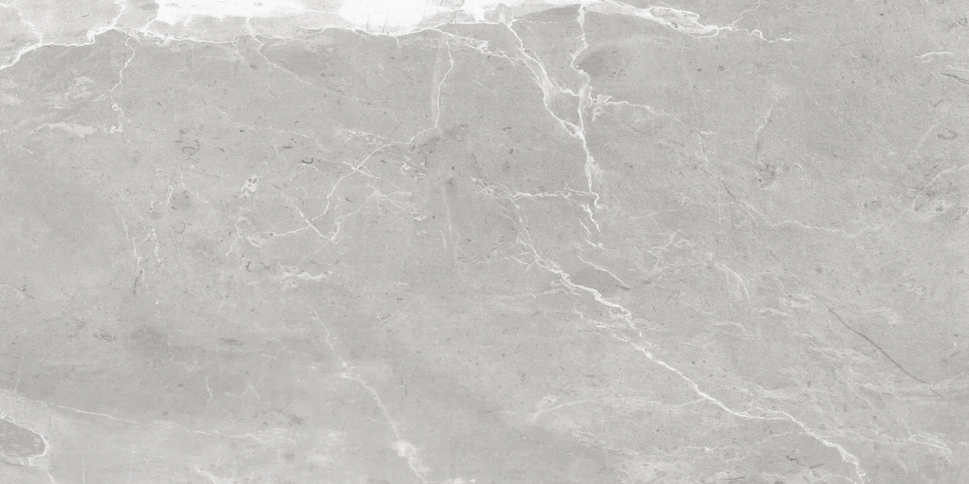 NS612NTT9026L Slate Grey 60x120 NT Ceramic