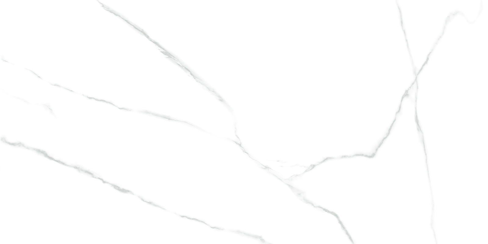 60120AMR00P Atlantic Marble 60x120 LCM