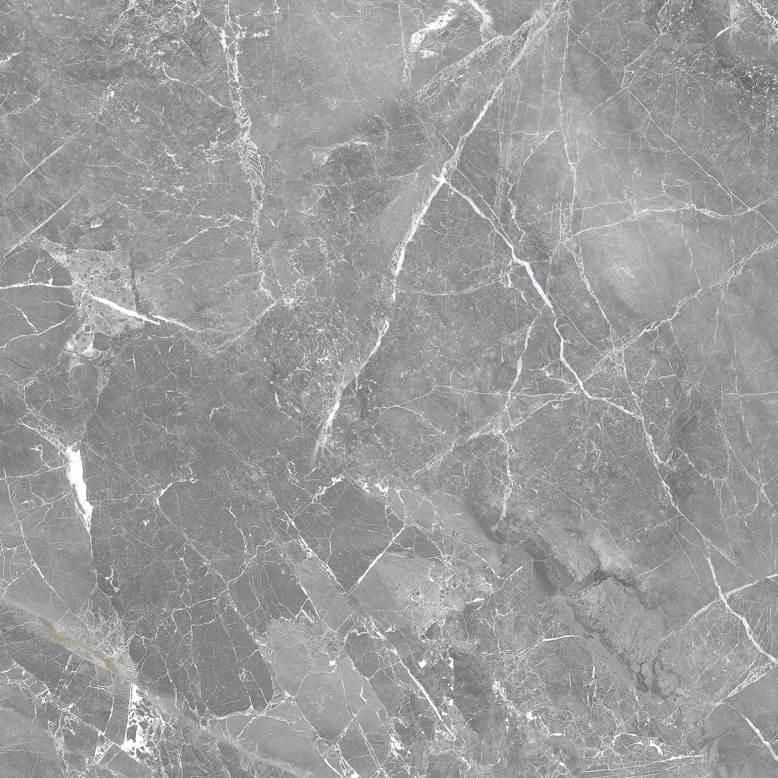 6060GRY25 Greiny Graphite Sugar 600x600x9.5 Delacora