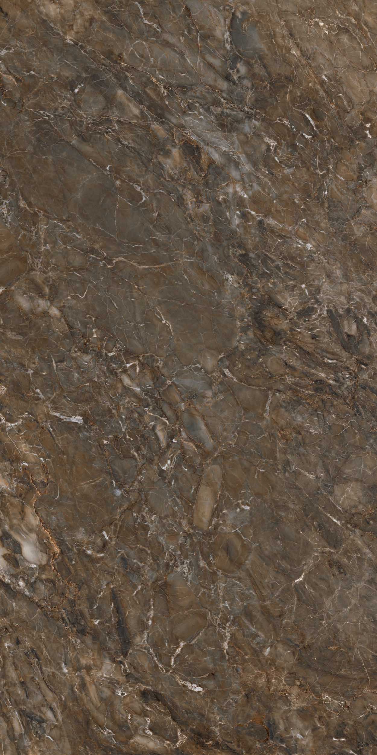 BR04 Bernini Dark Brown Неполированный Рект. 60x120x9 Estima фото 11