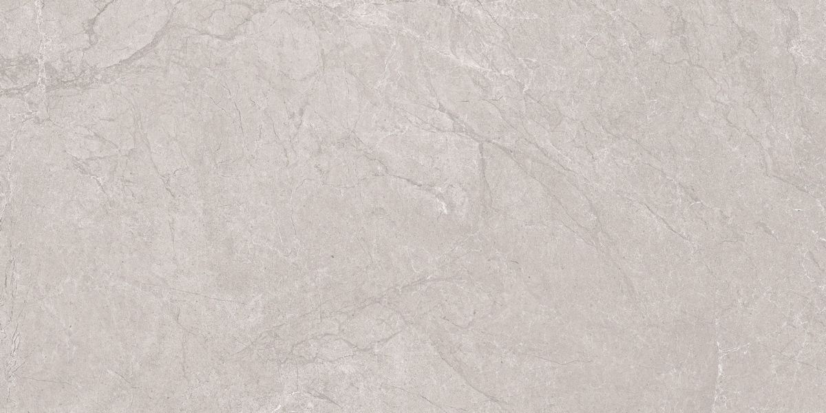 N20555 Aristo Grey Tm 60x120 Neodom
