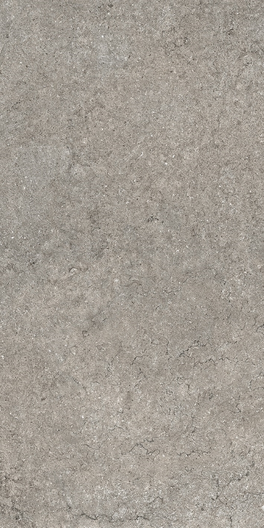 610010002728 Discover Grey 60x120 Italon