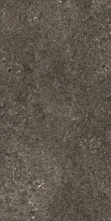 768625 Sensi Brown Fossil Nat Ret 6mm 60x120 Casa Dolce Casa