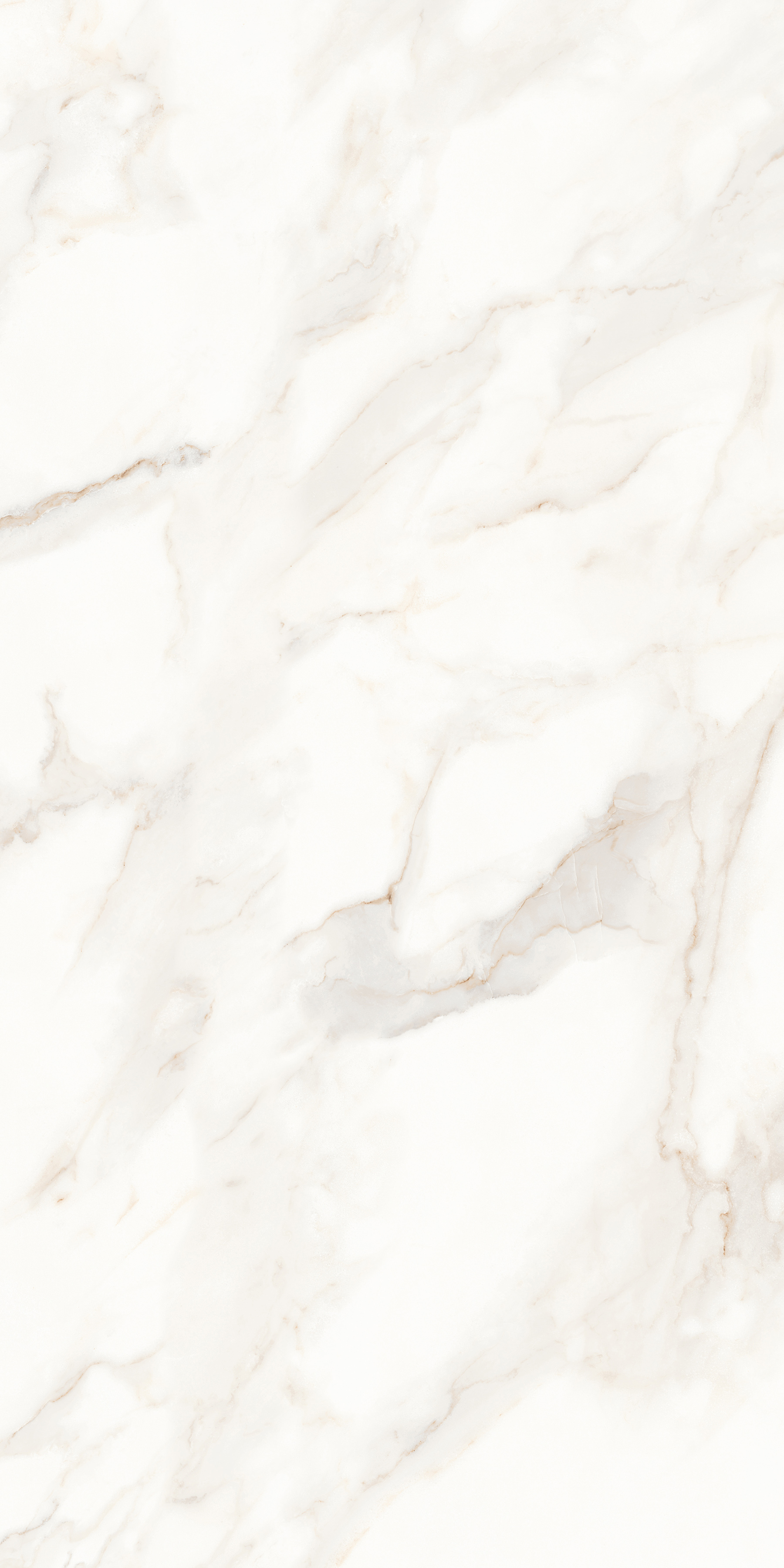 MPL-058623 Calacatta Polished 60x120 Creto