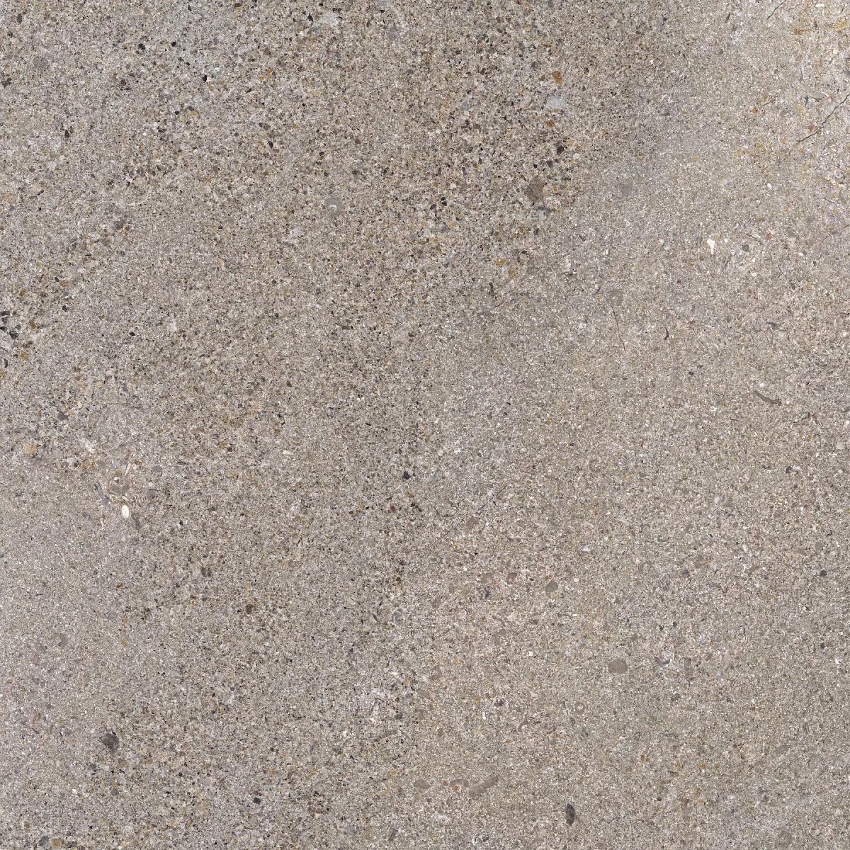 Terra Silver 60x60 Prime Ceramics