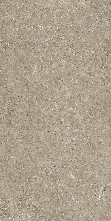 768623 Sensi Taupe Fossil Nat Ret 6mm 60x120 Casa Dolce Casa