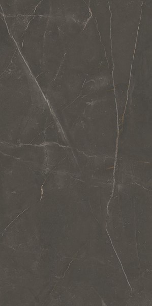 Linearstone Brown 59.8x119.8 Paradyz