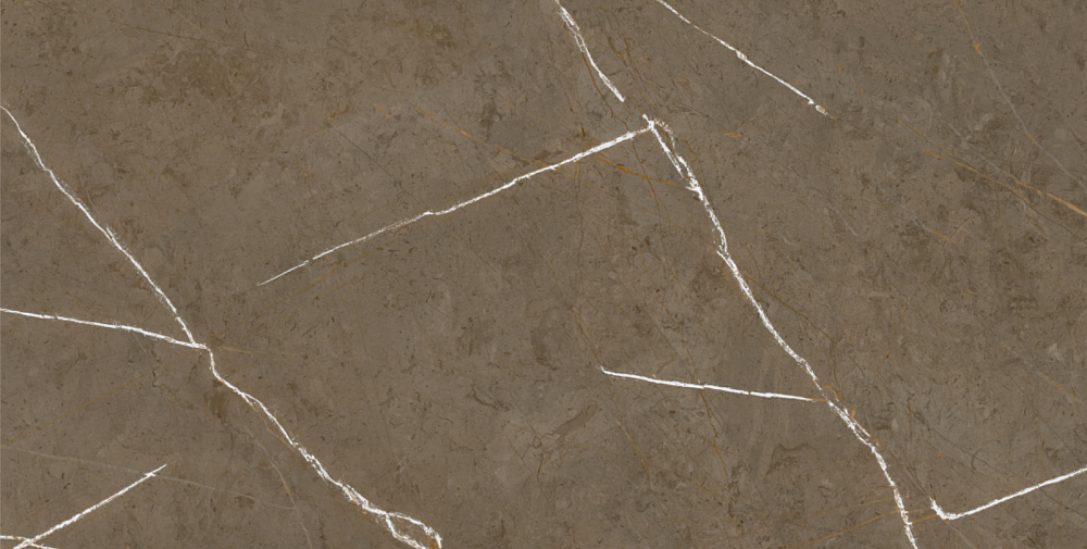 BHM-5009 Stone Brown 3D ink-soft glaze 60x120 Basconi Home