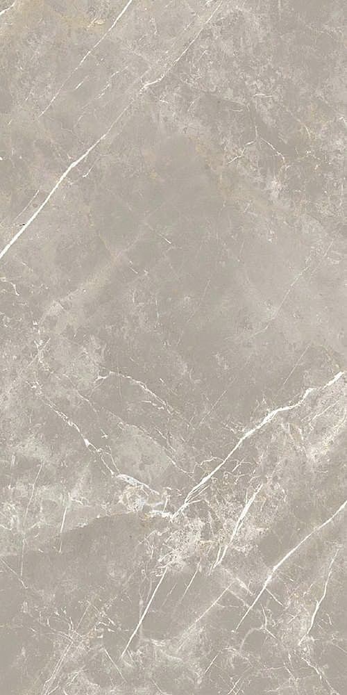 766528 Elemental Grey Dolomia Luc Ret 60x120 Cerim