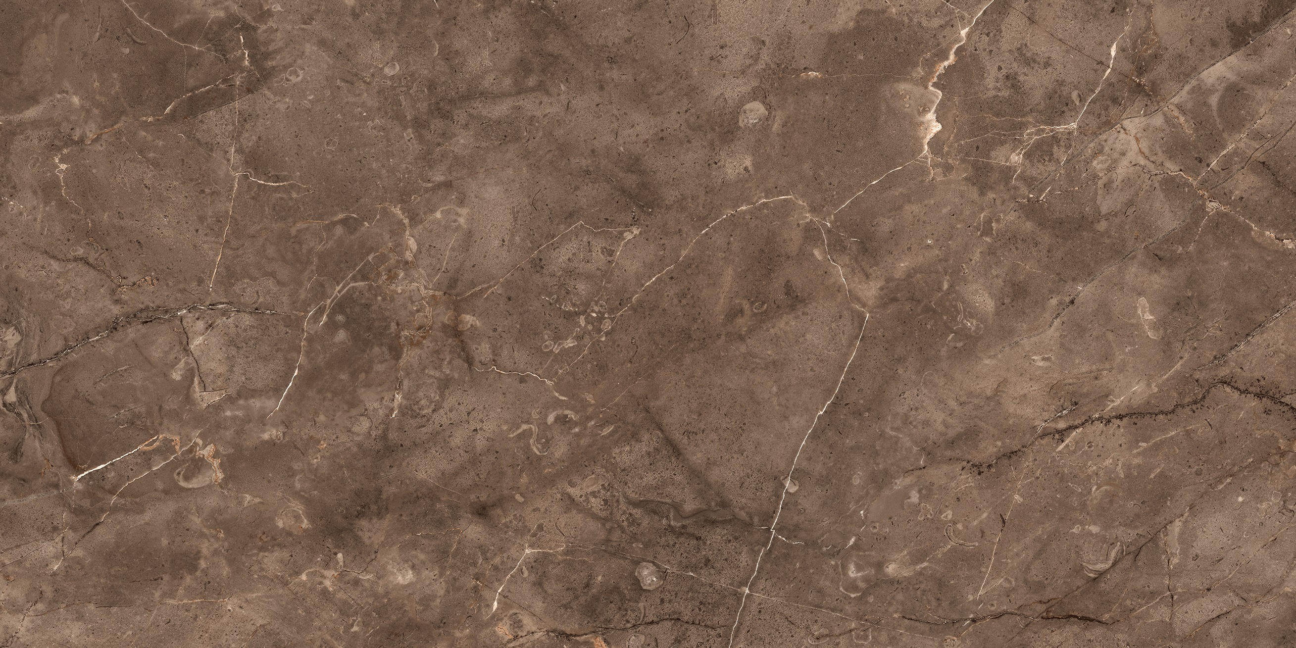 Paradiso Coco Glossy 600x1200 Varmora Granito