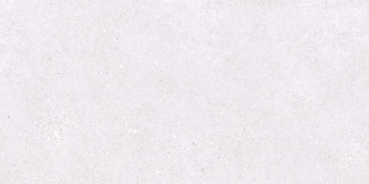 Базальт Эксепшнал Сноу светло-серый матовый 60х120 Ceradim