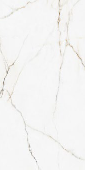 00-00000245 Calcatta Montreal Polish 60х120 BELLEZA