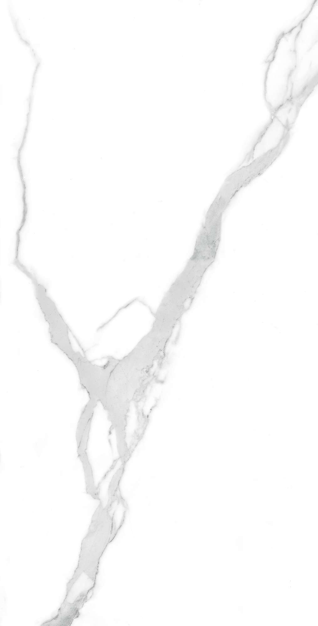 FP1021-A Nuvo Statuario Full Polished 60x120 Arcadia Ceramica