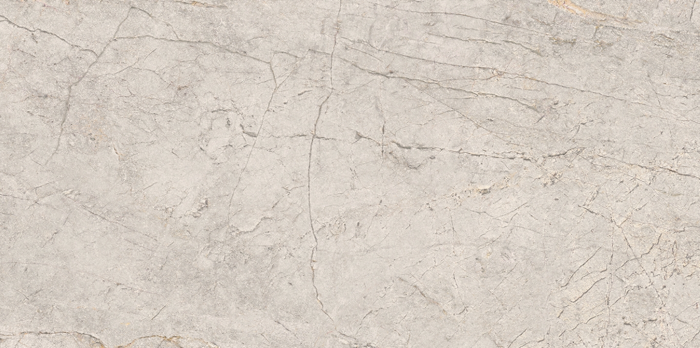 100355108 Colorado Silver L 59,6x120 Porcelanosa