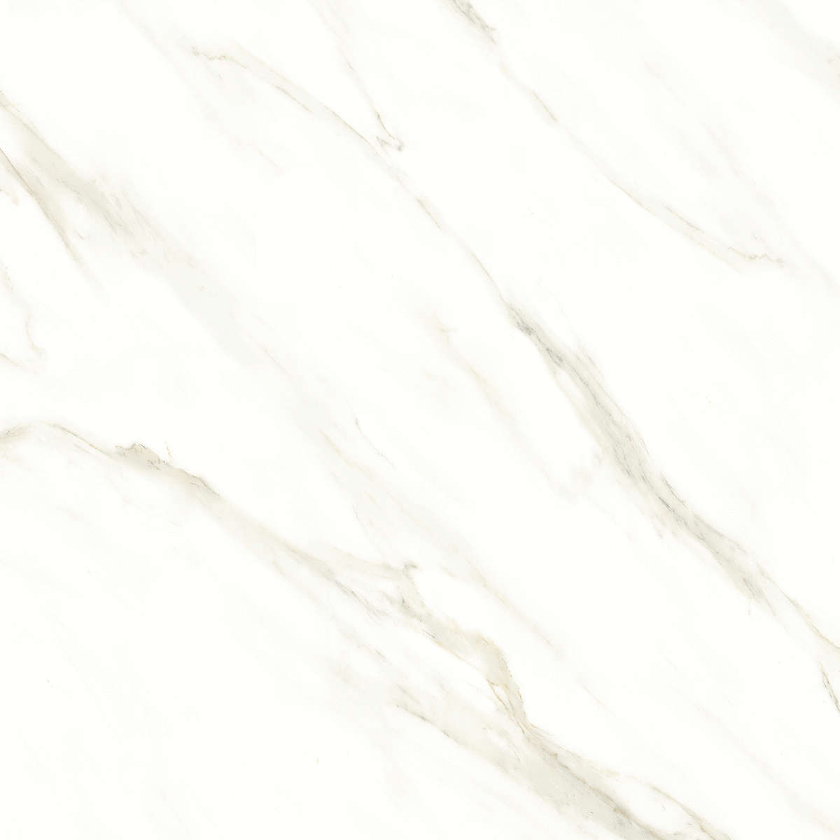 Cassini carrara PGVT 60x60 Casati Ceramica