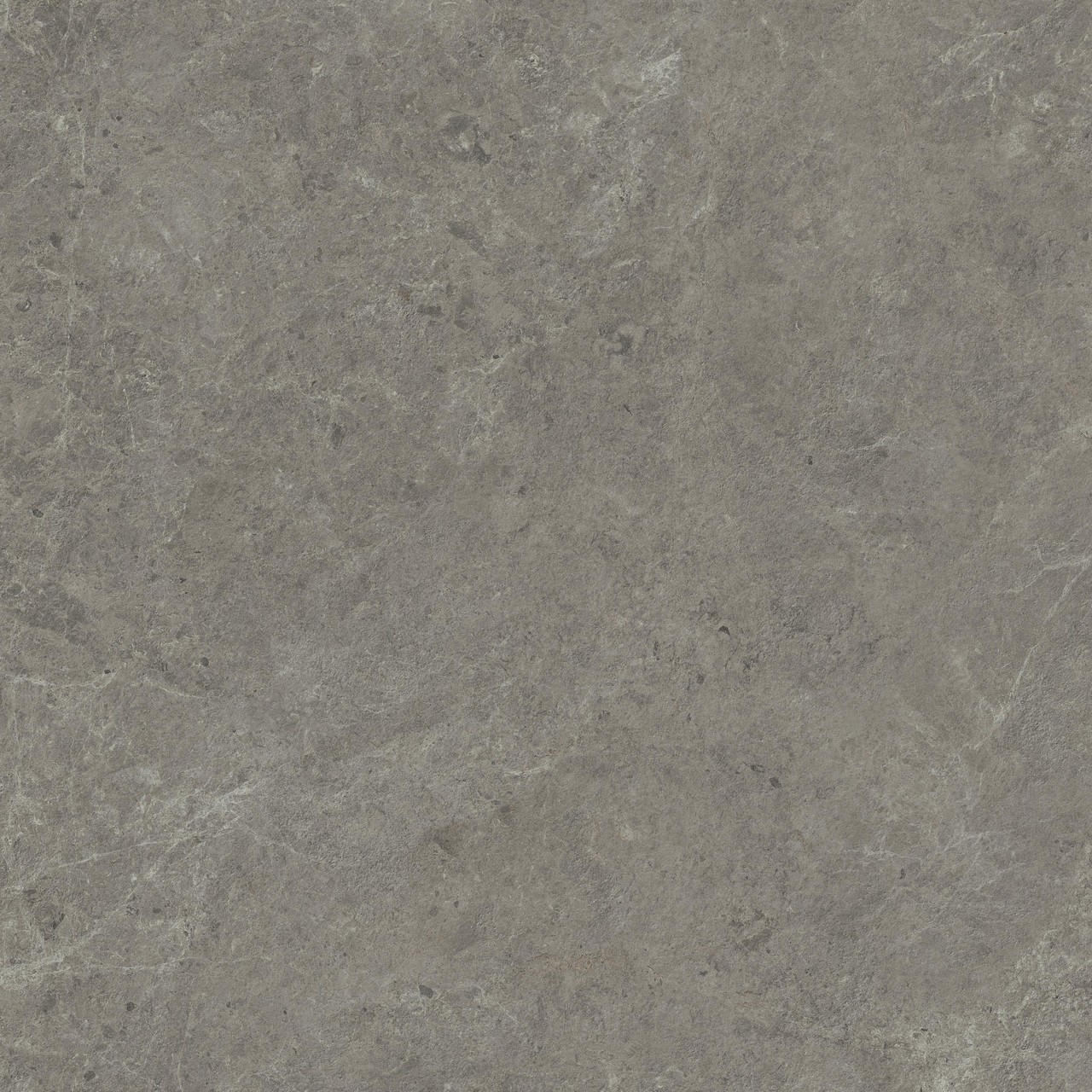 HCQ1 Nyra Meteor Matt 120x120 Atlas Concorde фото 2