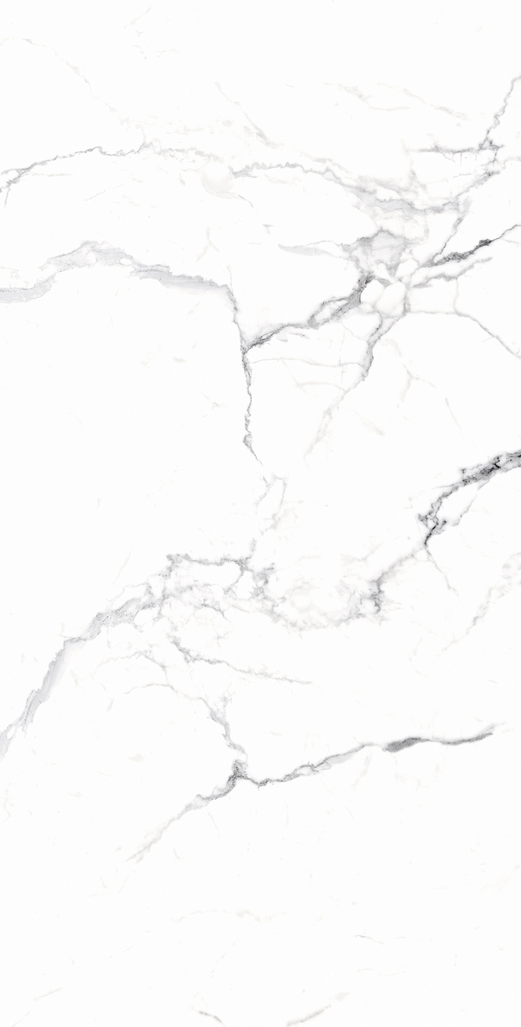 RT7018-A Carrara White Matt Rustic 60x120 Arcadia Ceramica