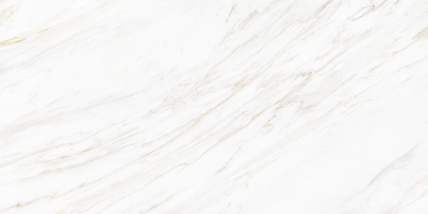2601 Venato Soft Polished 60x120 Leopard