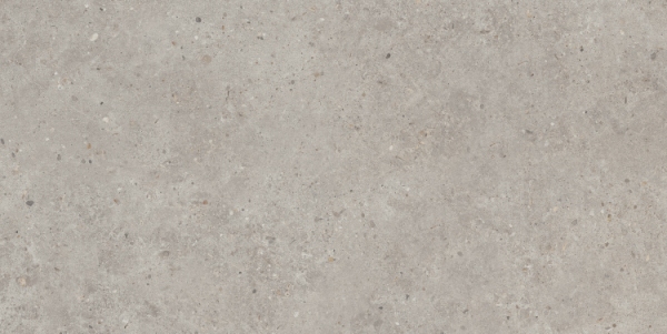SG519920R Риккарди серый светлый матовый обрезной 60х119,5 Kerama Marazzi