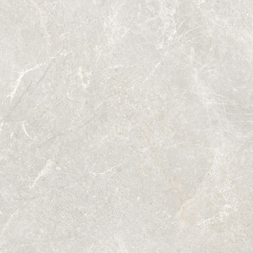Rocky Bianco PRO светло-серый матовый R10GR 60х60 Laparet
