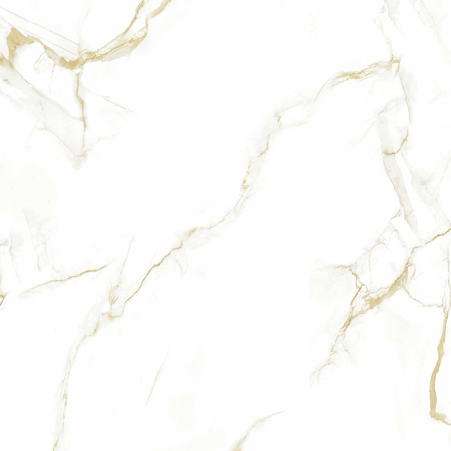 16604 Helion Polished 8mm 60x60 Pardis Ceramic Pazh