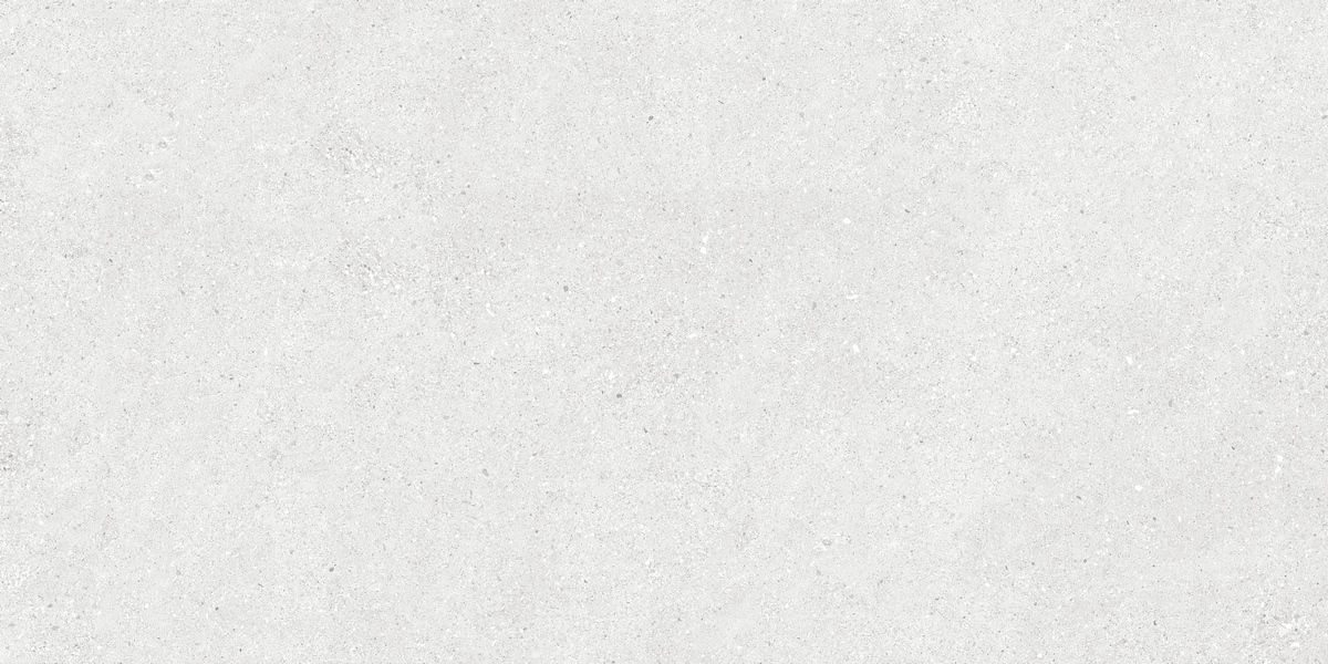 N40031 Stonhenge Grey Matt 60x120 Neodom