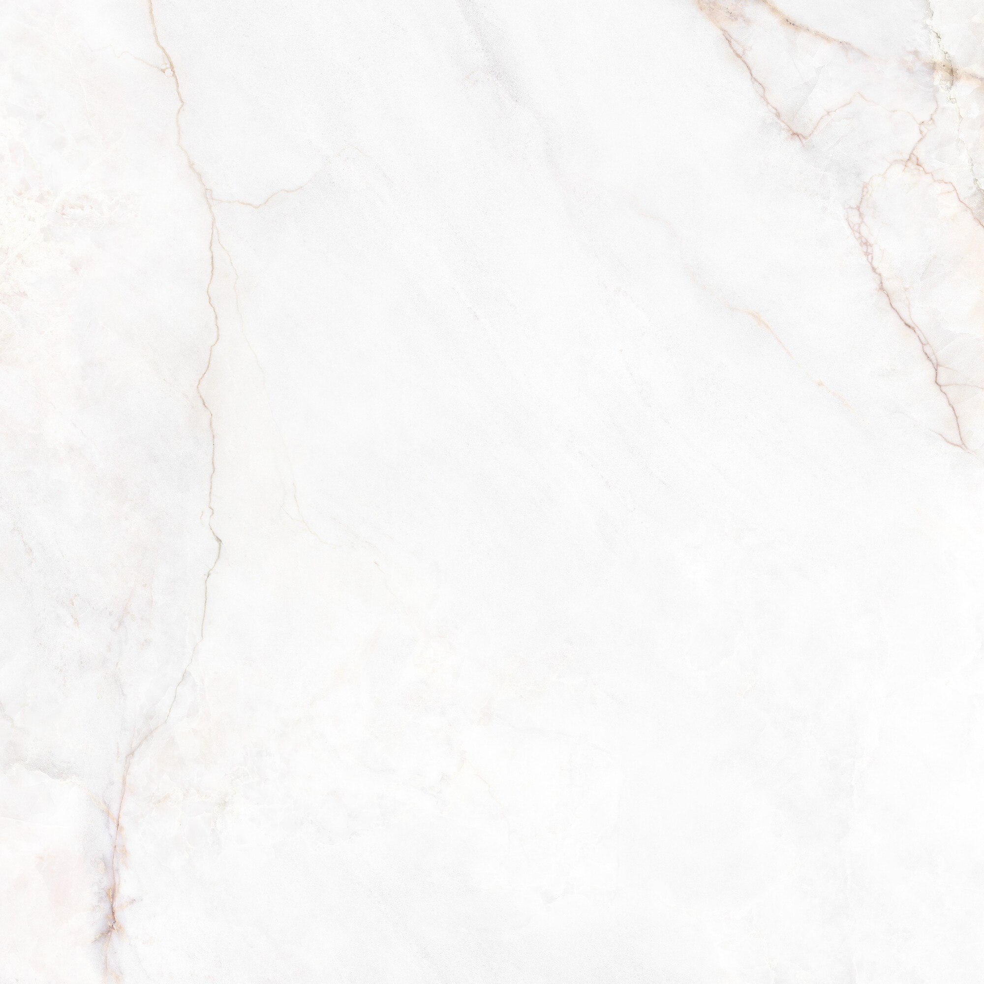 41431 Dahlia White SP/100X100X0,8/R 100x100 Peronda фото 12
