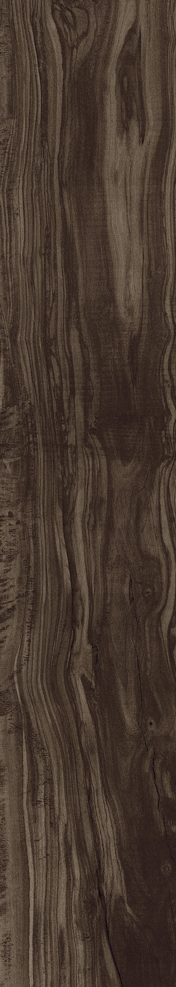 CW-CR01-B Pearsian Wood Charcoal Carving 20x120 Creanza