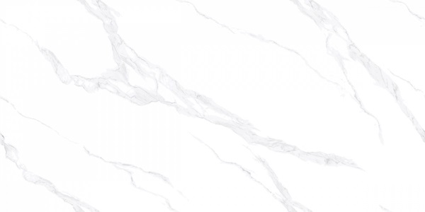 AB3116G Carrara Bianco 120x60 Absolut Gres