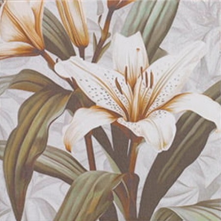 Secrets White 20x20 Mainzu