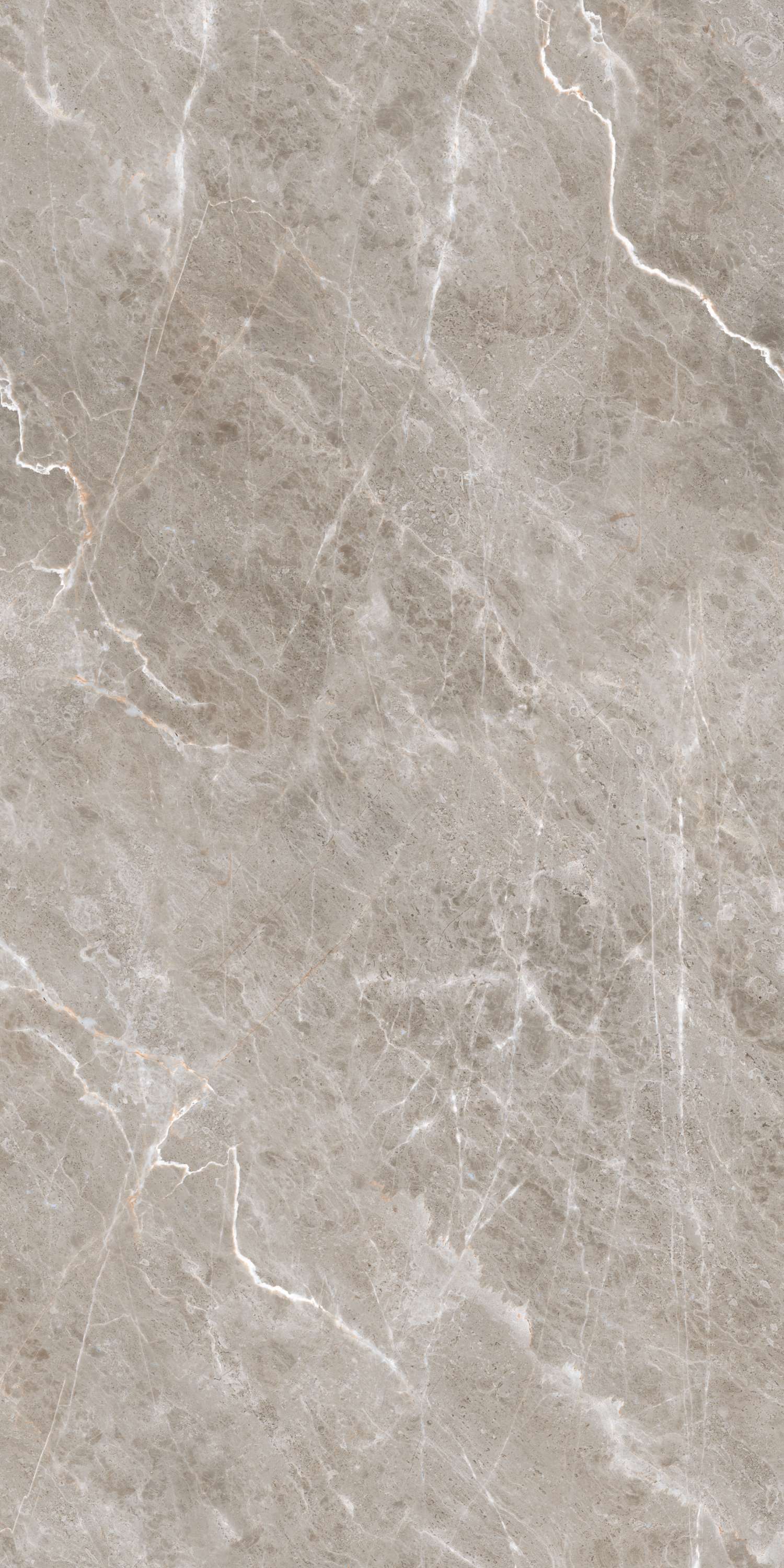 Burgass Brown Carving 60х120 Embito Granito