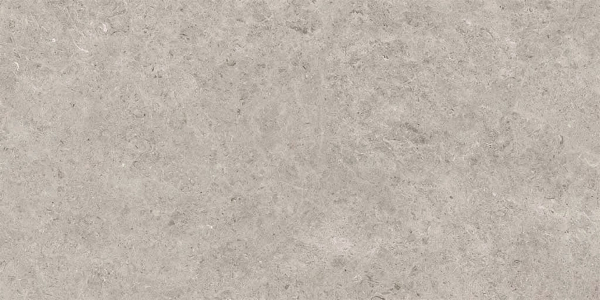 Seashell Natural R10 Carving 60x120 Gravita
