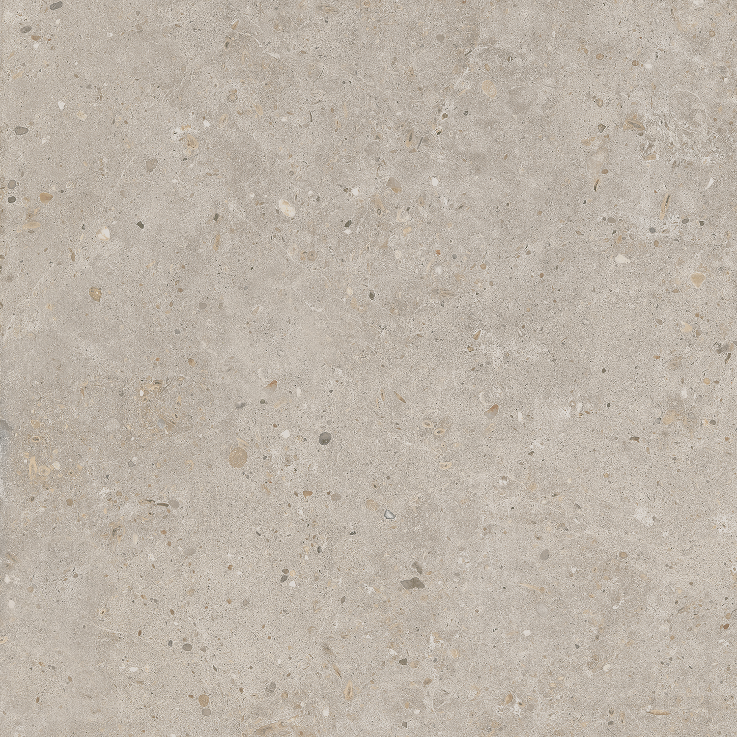 SG653820R Риккарди бежевый матовый обрезной 60x60 Kerama Marazzi фото 4