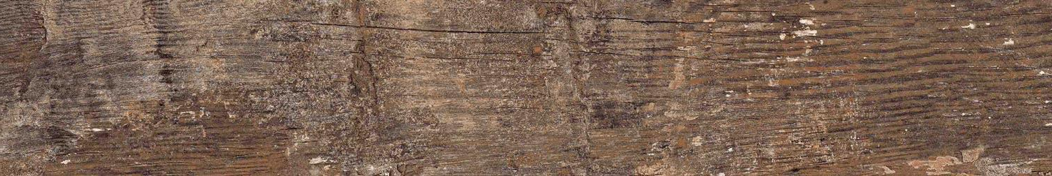 Kiwi Redroot Mat 20x120 Alpas Euro