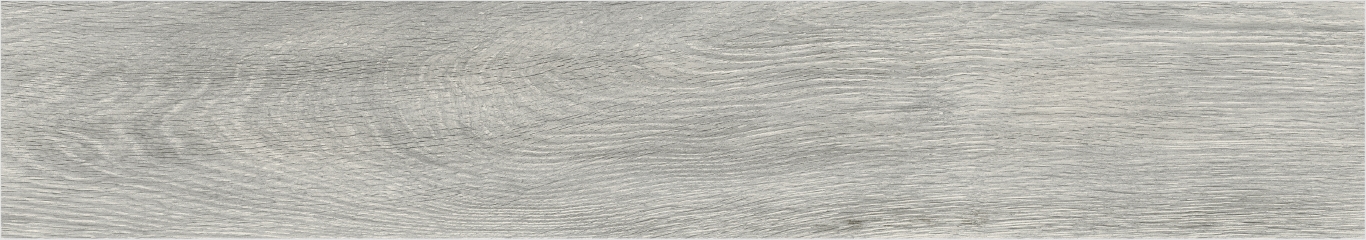 Eleganza Silver Rectificado 20x114 Baldocer