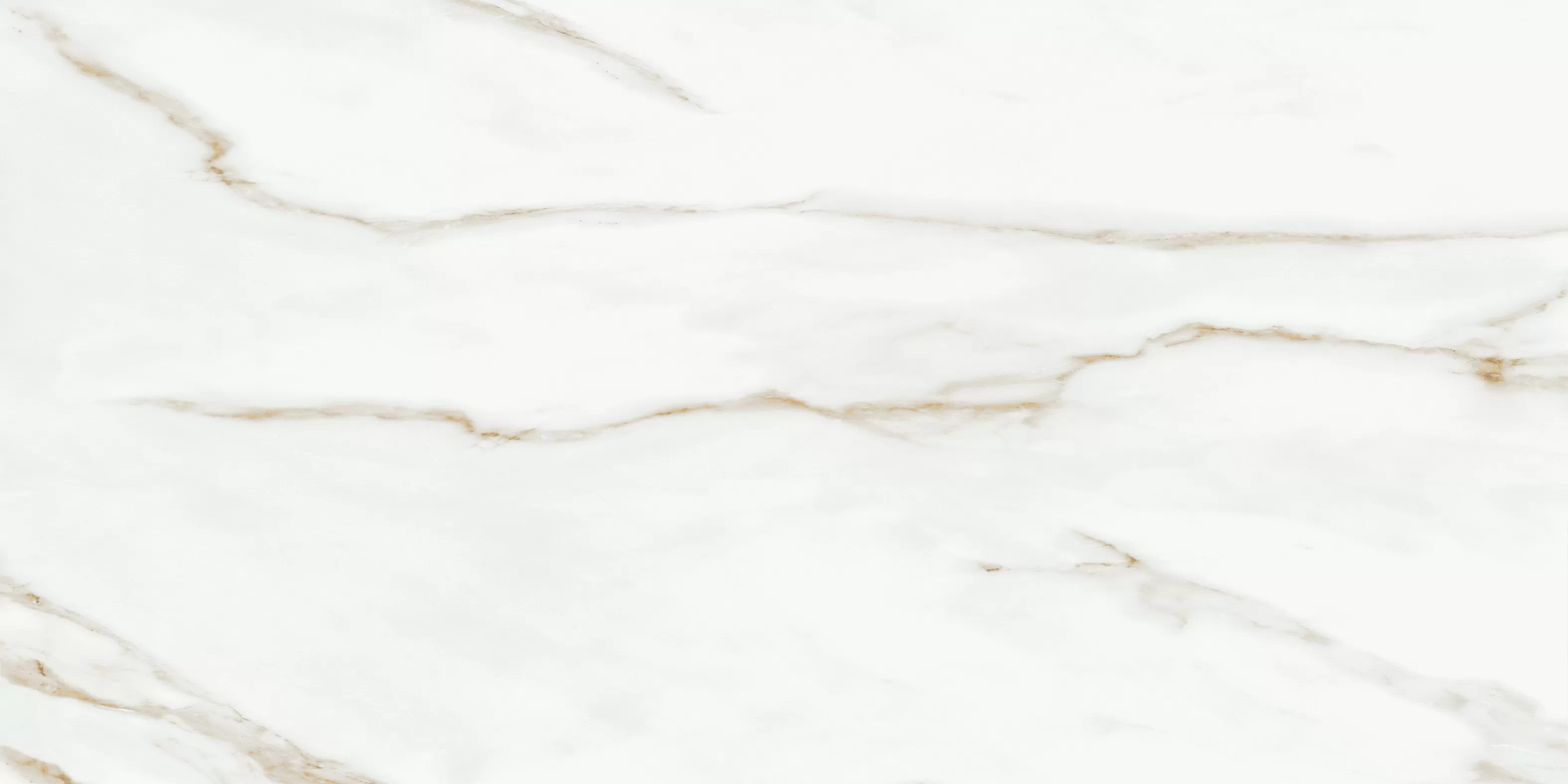 Oriental White 60x120 Bluezone фото 4