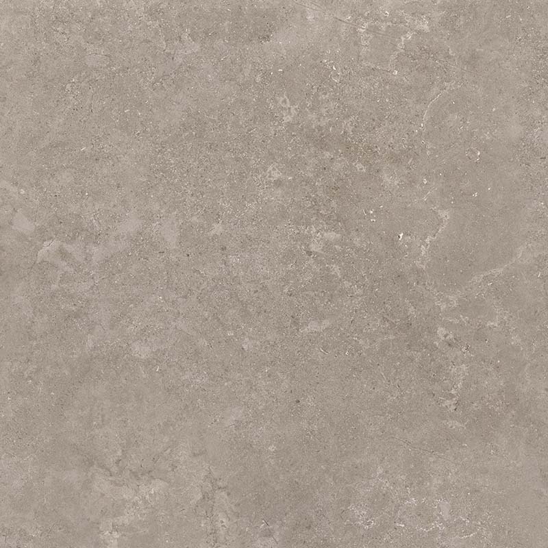 8163 Shell DG 60х60 Creto