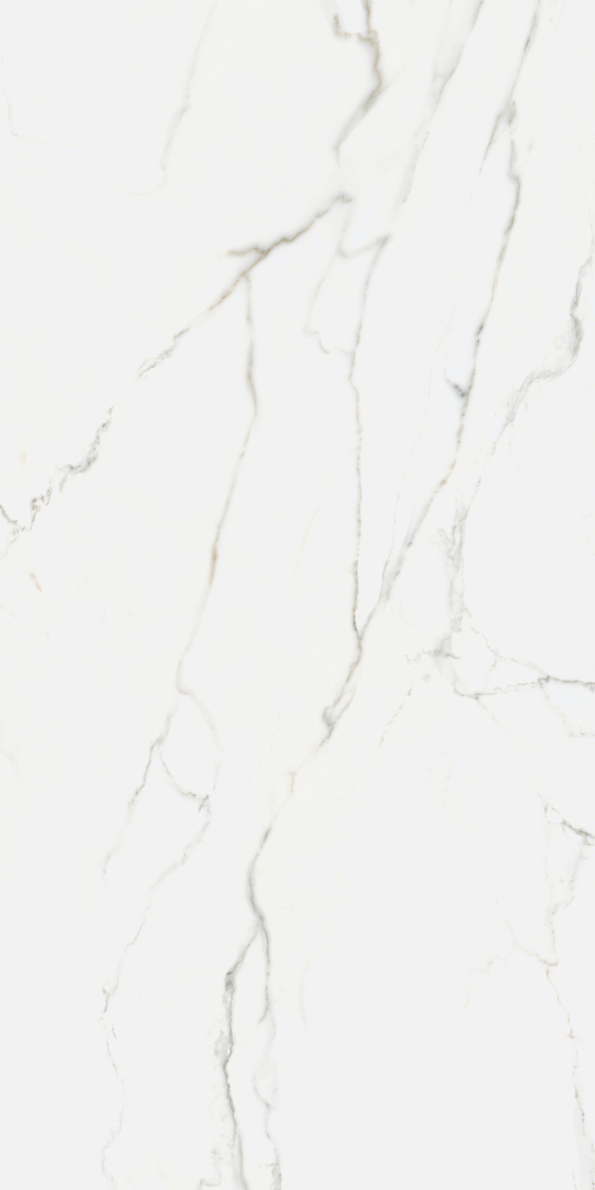 K951682R0001VTER Калакатта Оро Матовый R9 Ректификат 60x120 Vitra